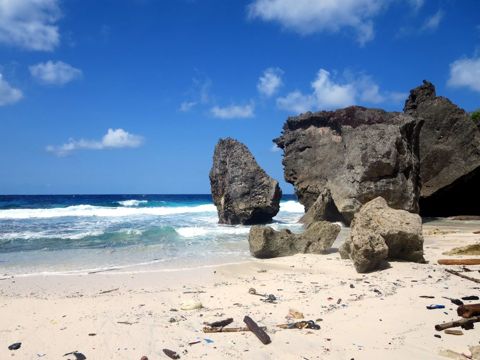 Photo of Greta Beach