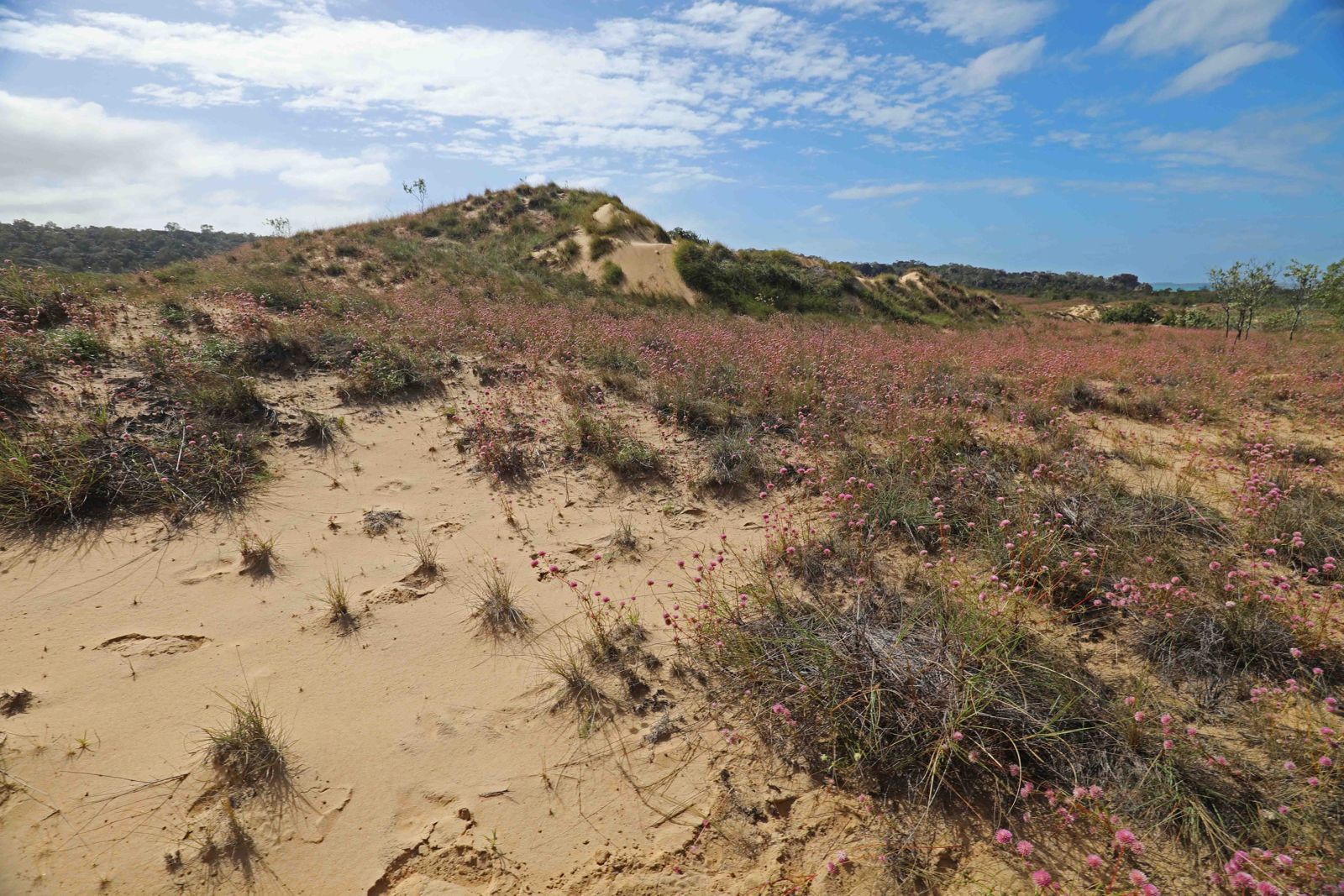 Primary photo of Groote Eylandt (snorkeling/diving areas)