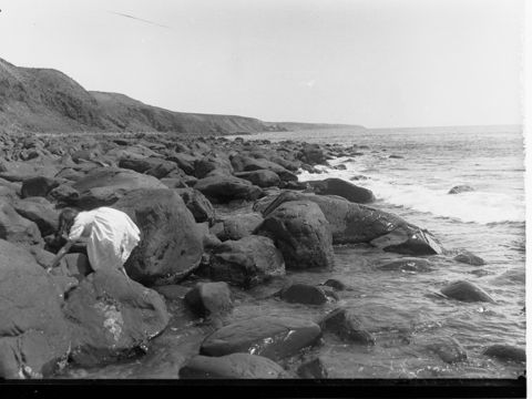 Photo of Hallett Cove Beach