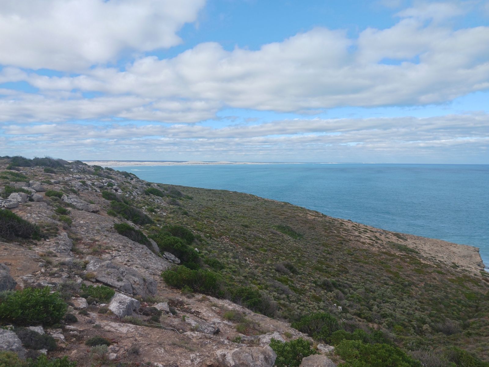 Primary photo of Head of Bight Whale Watching Centre