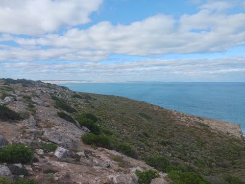 Photo of Head of Bight Whale Watching Centre