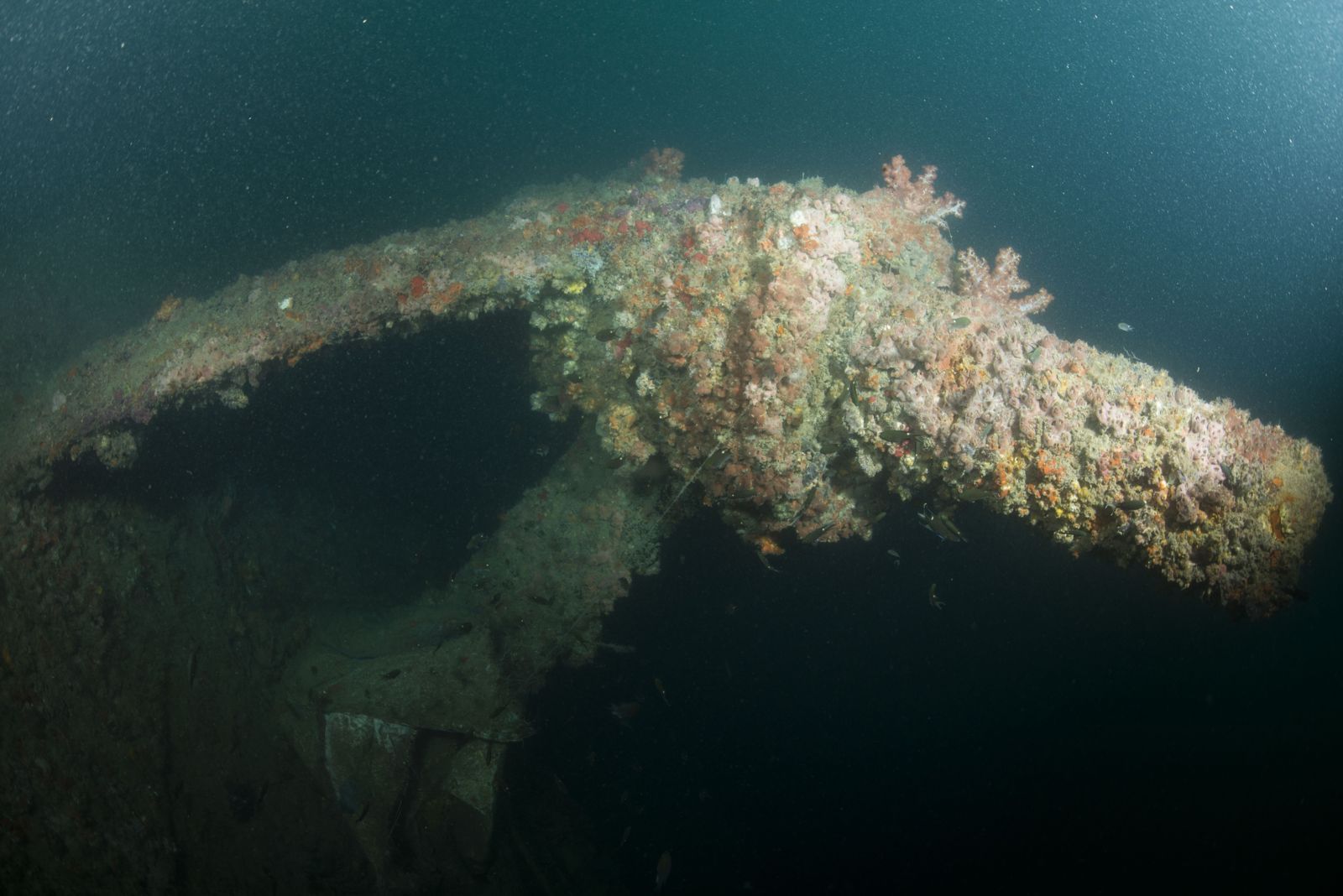 Primary photo of HMAS Perth Dive Wreck