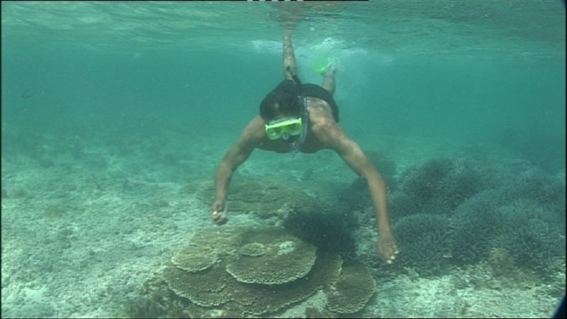 Primary photo of Houtman Abrolhos Islands (Abrolhos Islands)