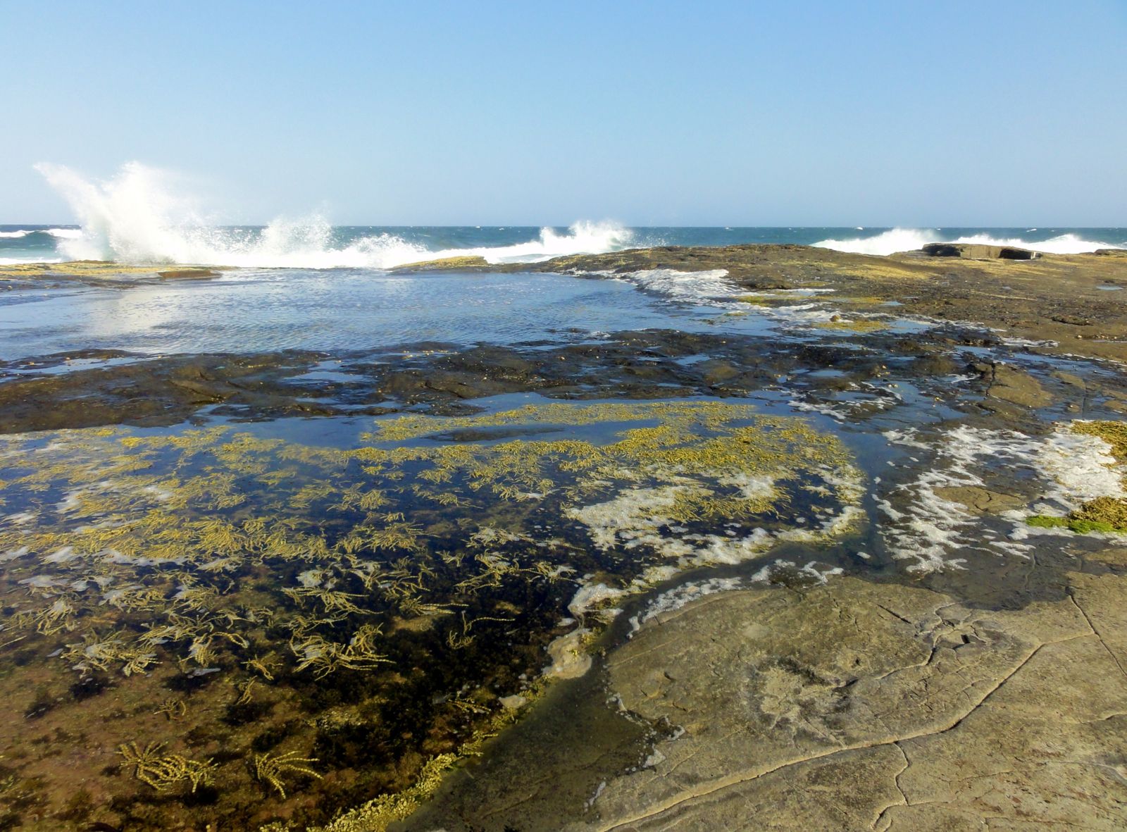 Primary photo of Iluka Bluff / Bluff Beach