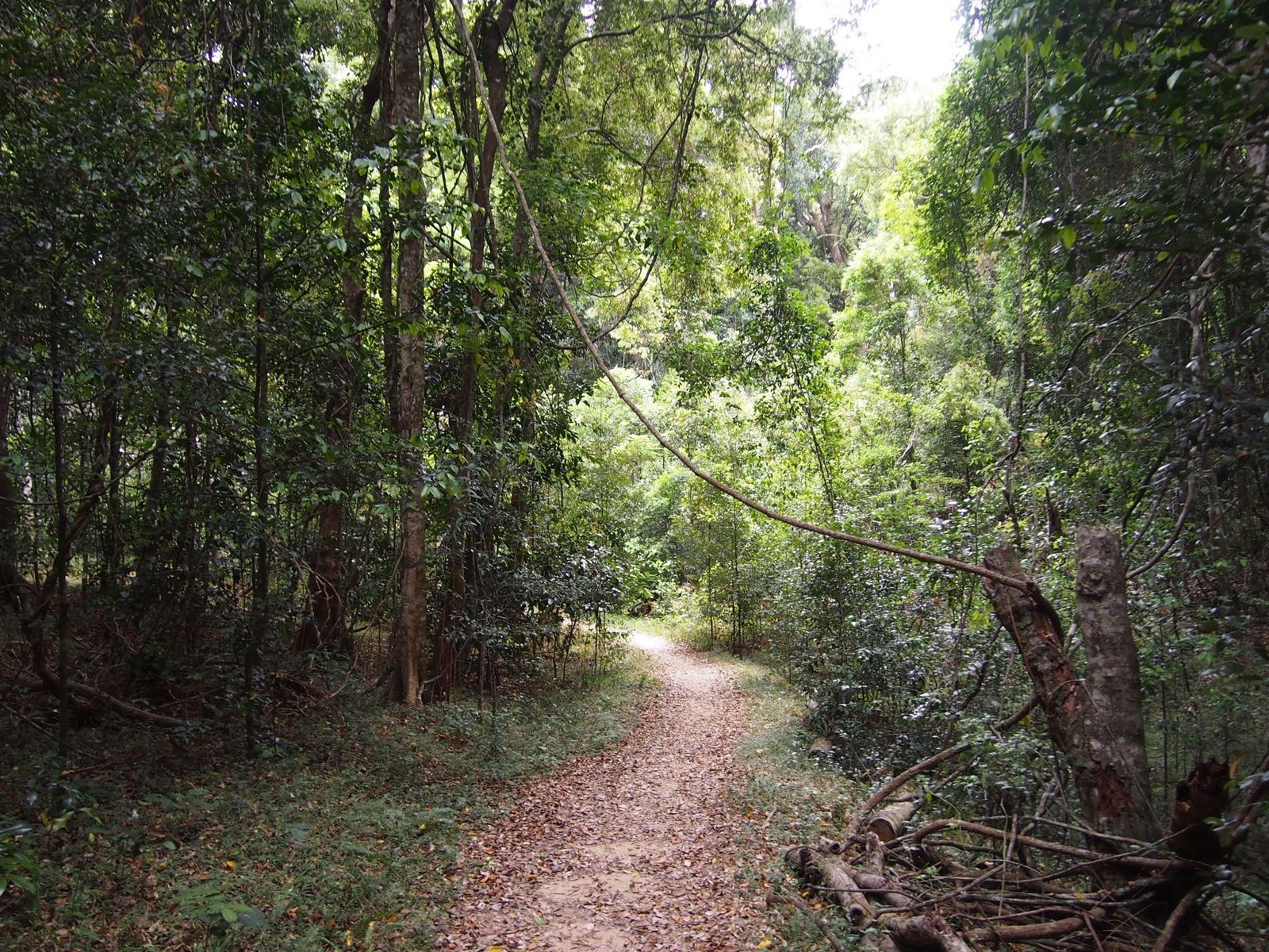 Primary photo of Iluka Nature Reserve (shoreline)