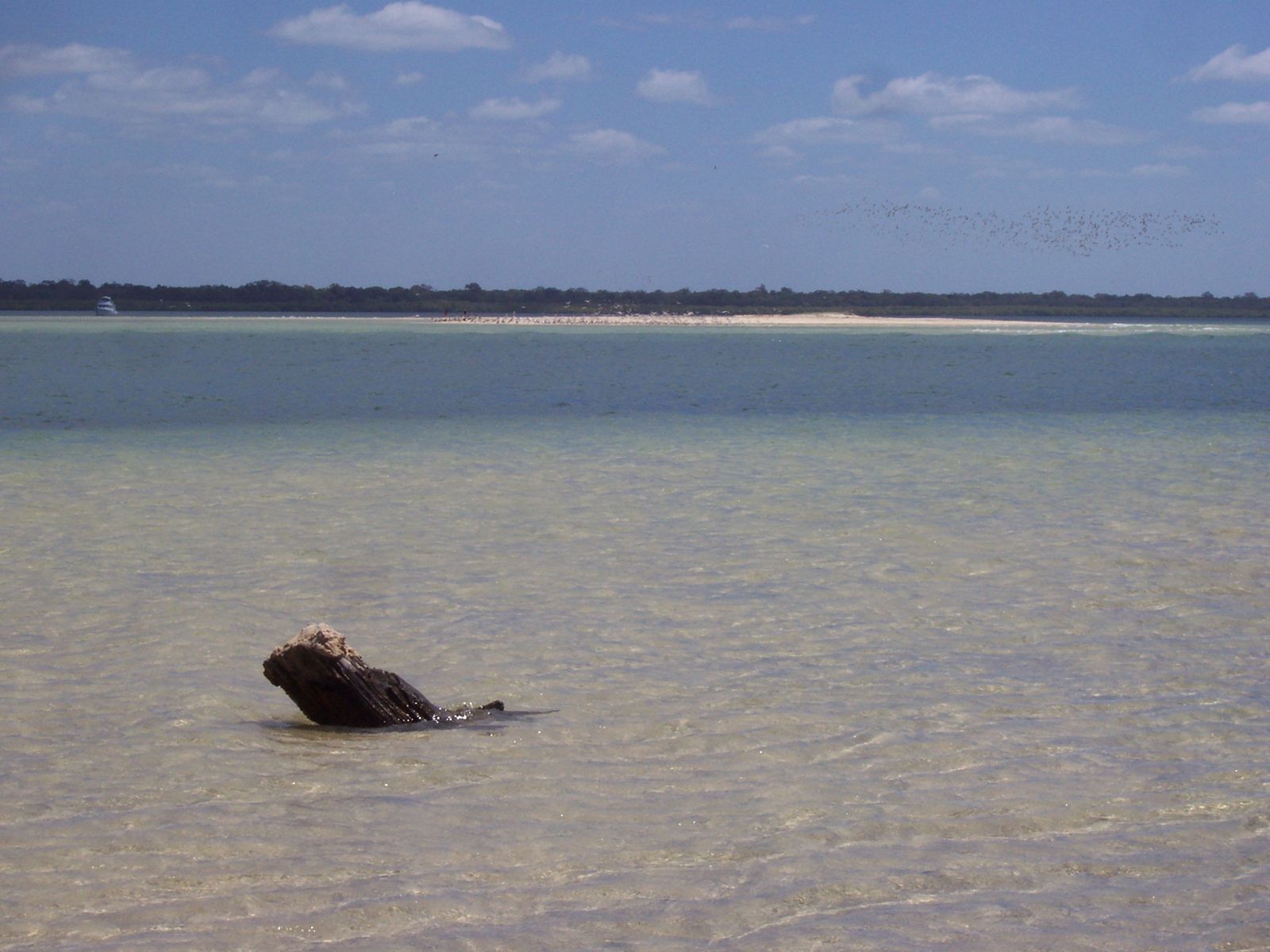 Primary photo of Inskip Beach