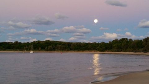 Photo of Jibbon Beach