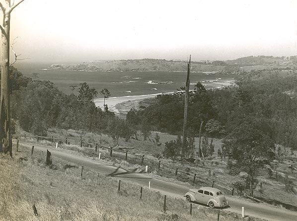 Primary photo of Korora Beach