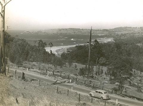 Photo of Korora Beach