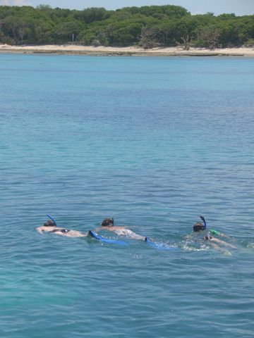 Photo of Lady Musgrave Island (Capricornia Cays)