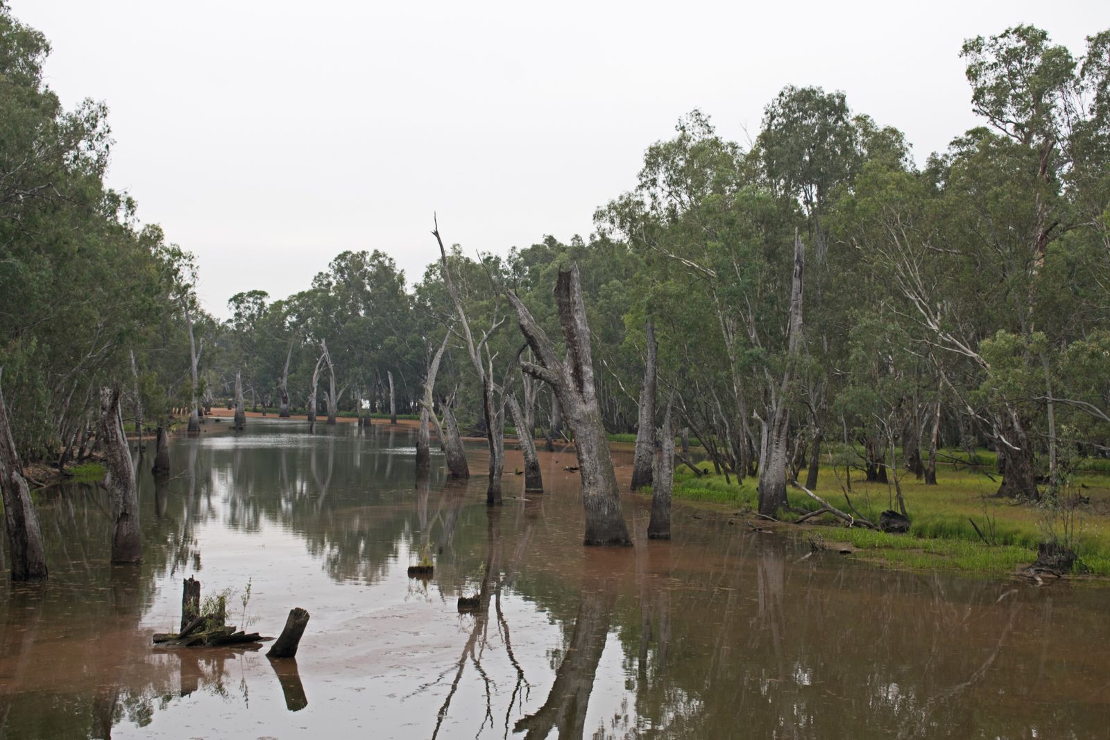 Primary photo of Lake Esmond (Ballarat)