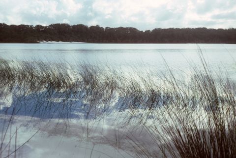 Photo of Lake McKenzie (Boorangoora)