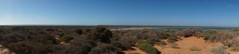 Photo of Little Lagoon (Francois Peron National Park)