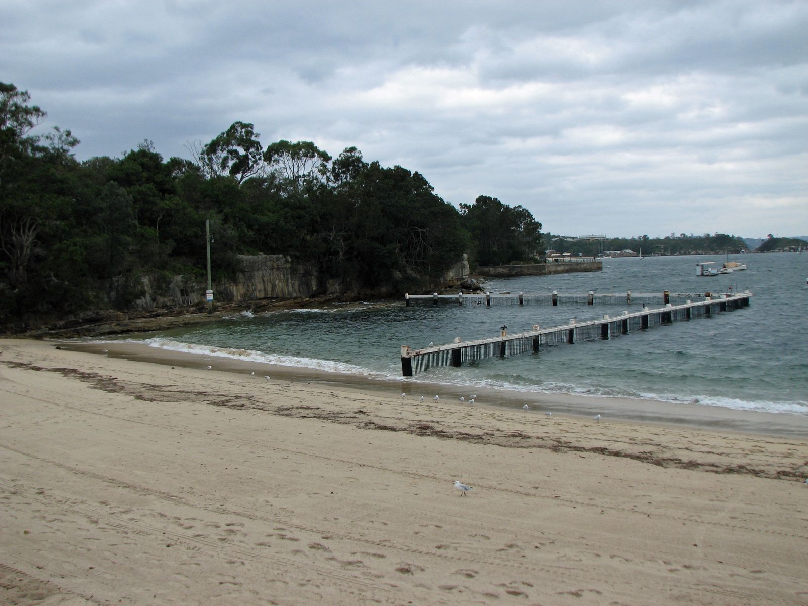Primary photo of Little Manly Cove