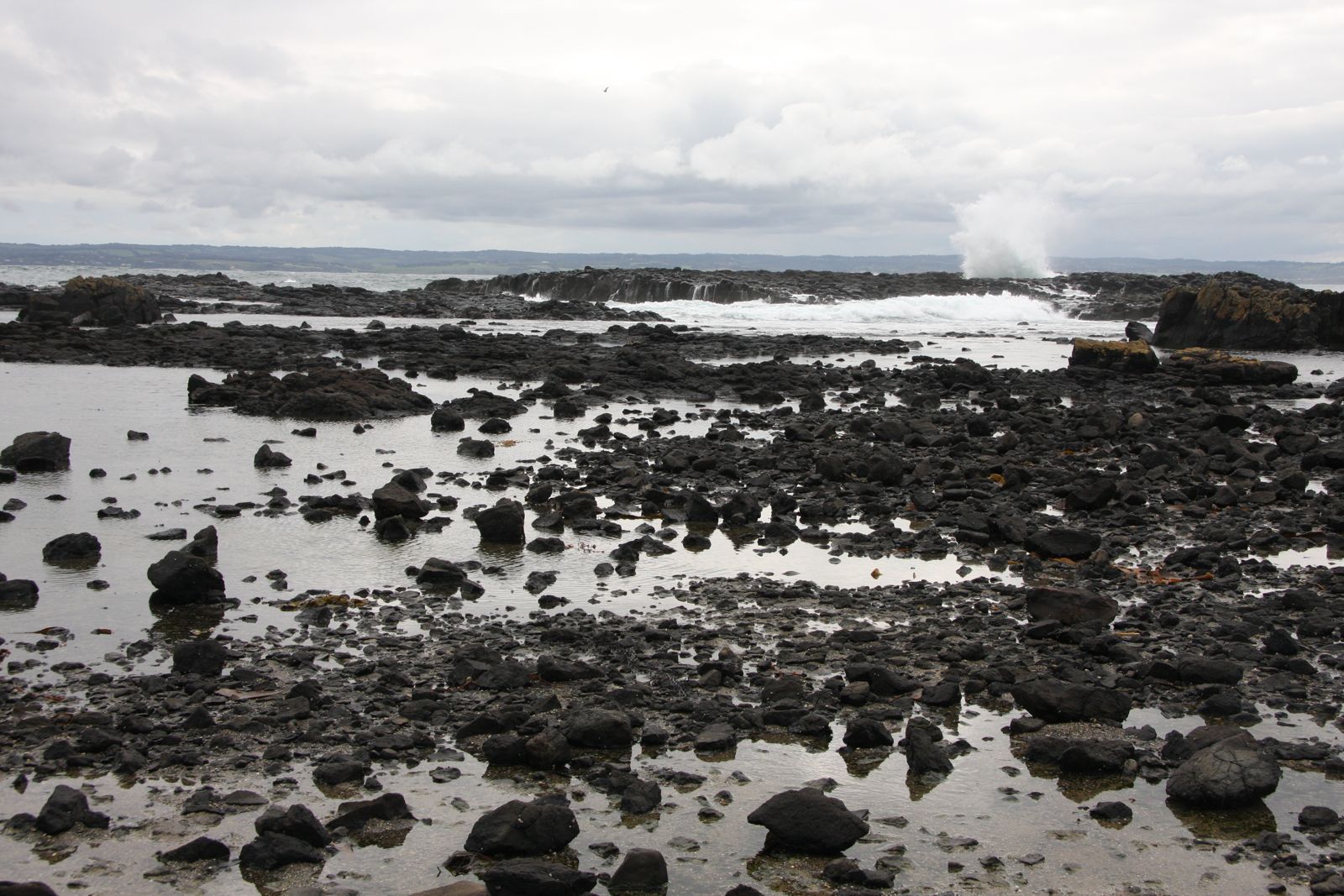 Primary photo of Cowrie Beach