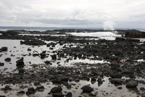 Photo of Cowrie Beach