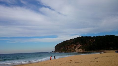 Photo of MacMasters Beach