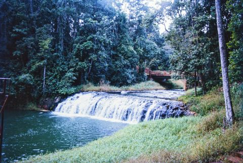 Photo of Malanda Falls Swimming Pool
