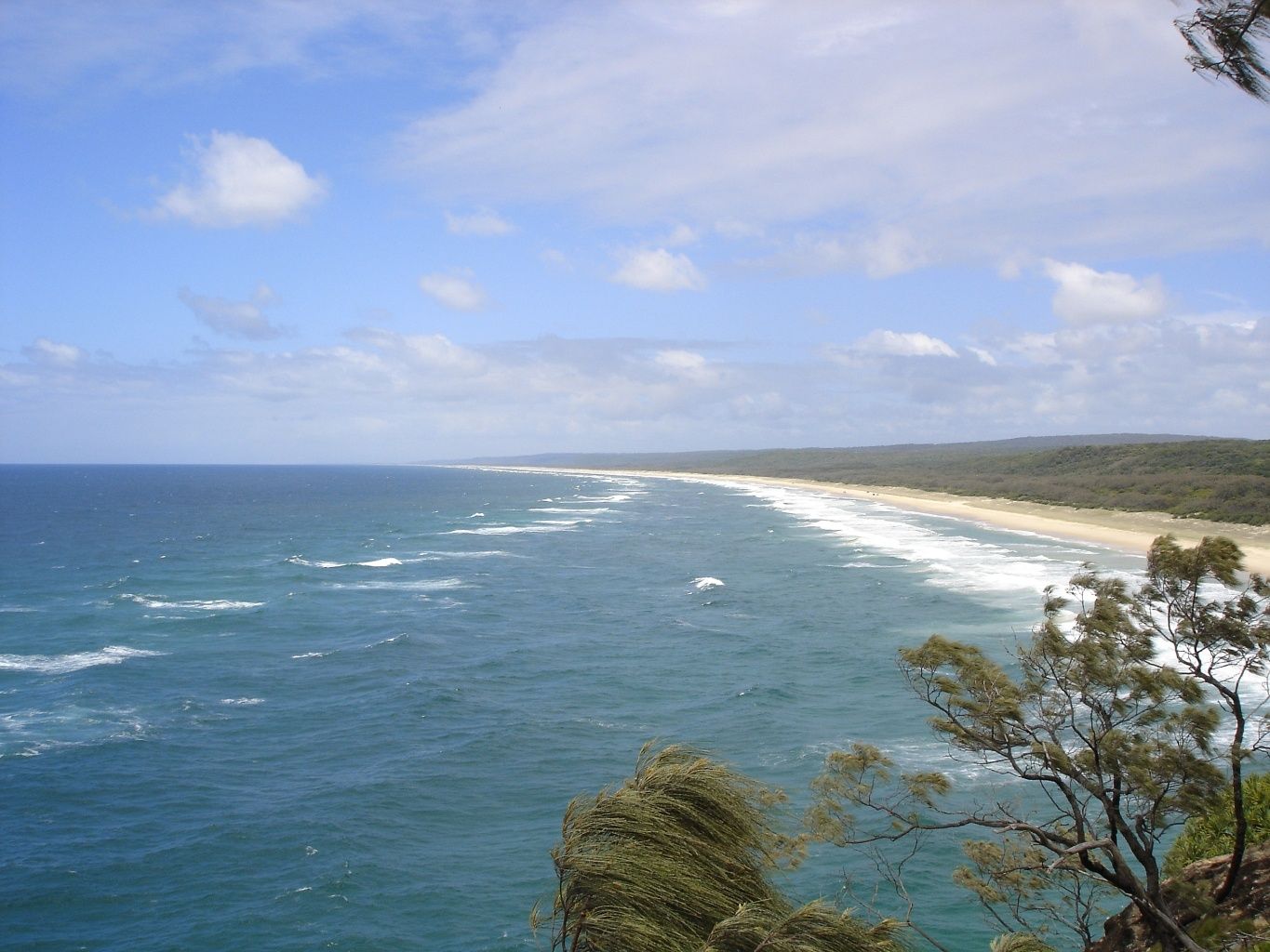 Primary photo of Manta Ray Bommies (North Stradbroke Island)