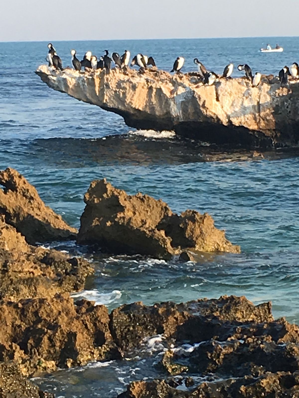 Primary photo of Marmion Marine Park