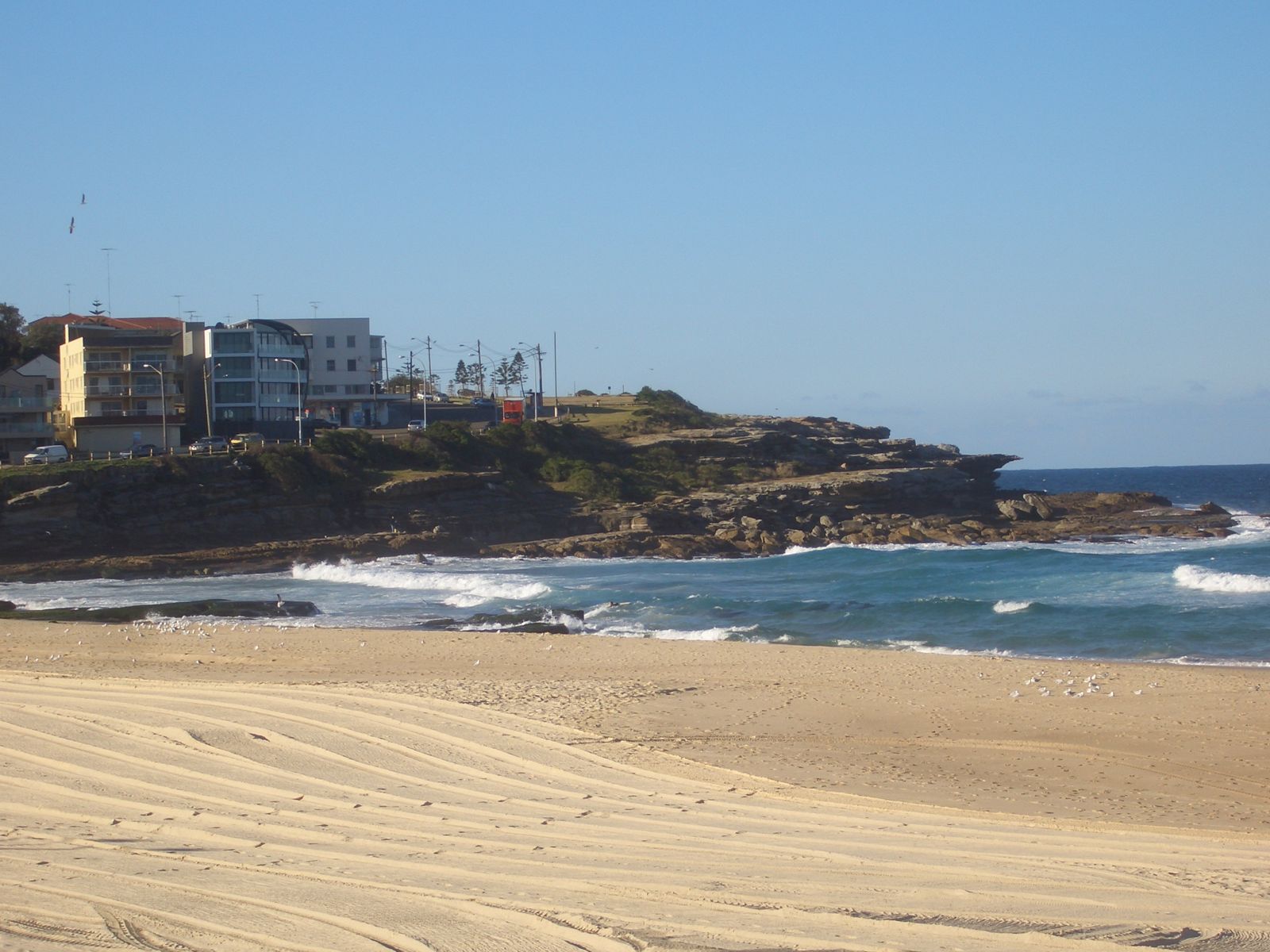 Primary photo of Maroubra Beach