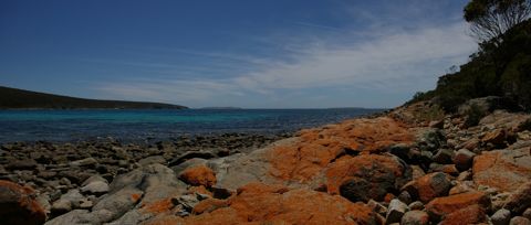 Photo of Memory Cove