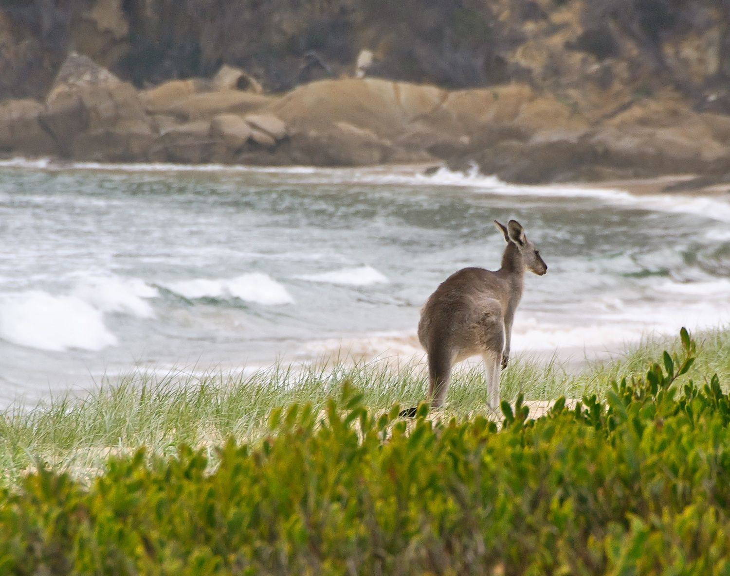 Primary photo of Mimosa Rocks National Park Beaches