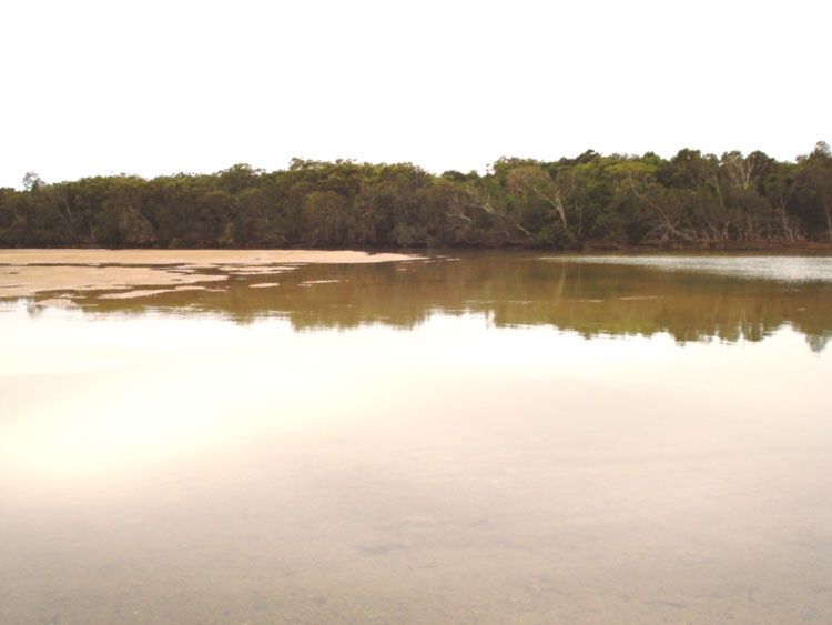 Primary photo of Moonee Beach (swimming/snorkeling)