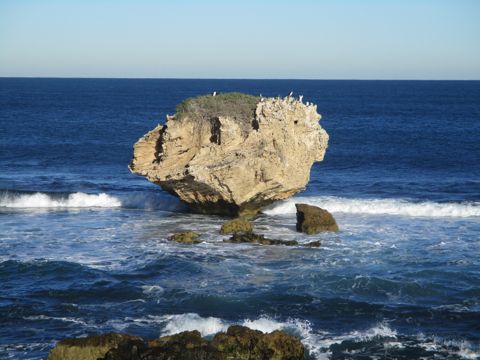 Photo of Mushroom Rock