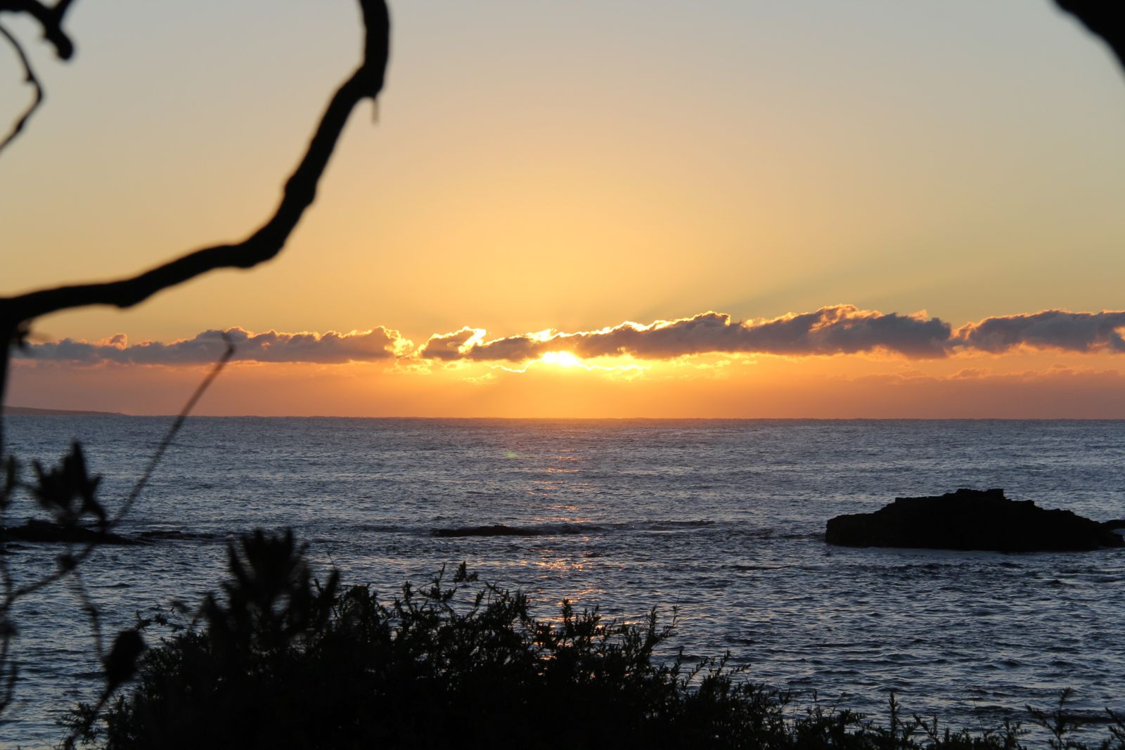 Primary photo of Mystery Bay