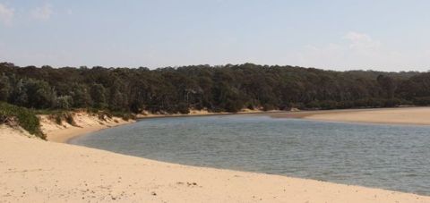 Photo of Nelson Lagoon