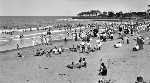 Photo of Nielson Park