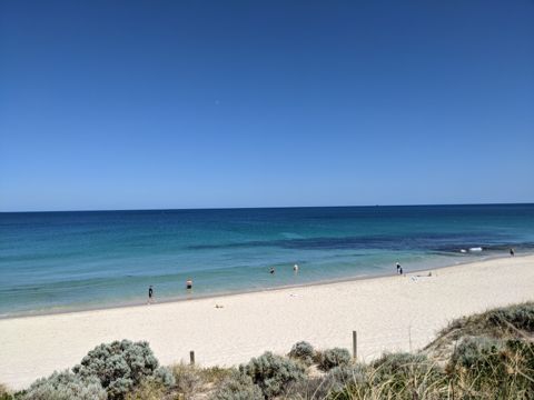 North Cottesloe Beach snorkelling spot