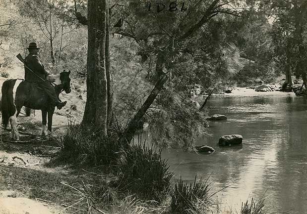 Primary photo of Nymboida River Swimming Holes