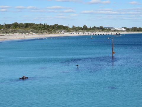 Photo of Omeo Wreck (Coogee Maritime Trail)