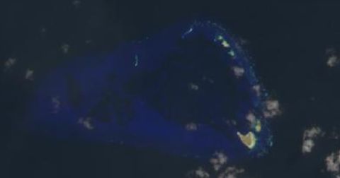 Photo of One Tree Reef (Keppel Islands)