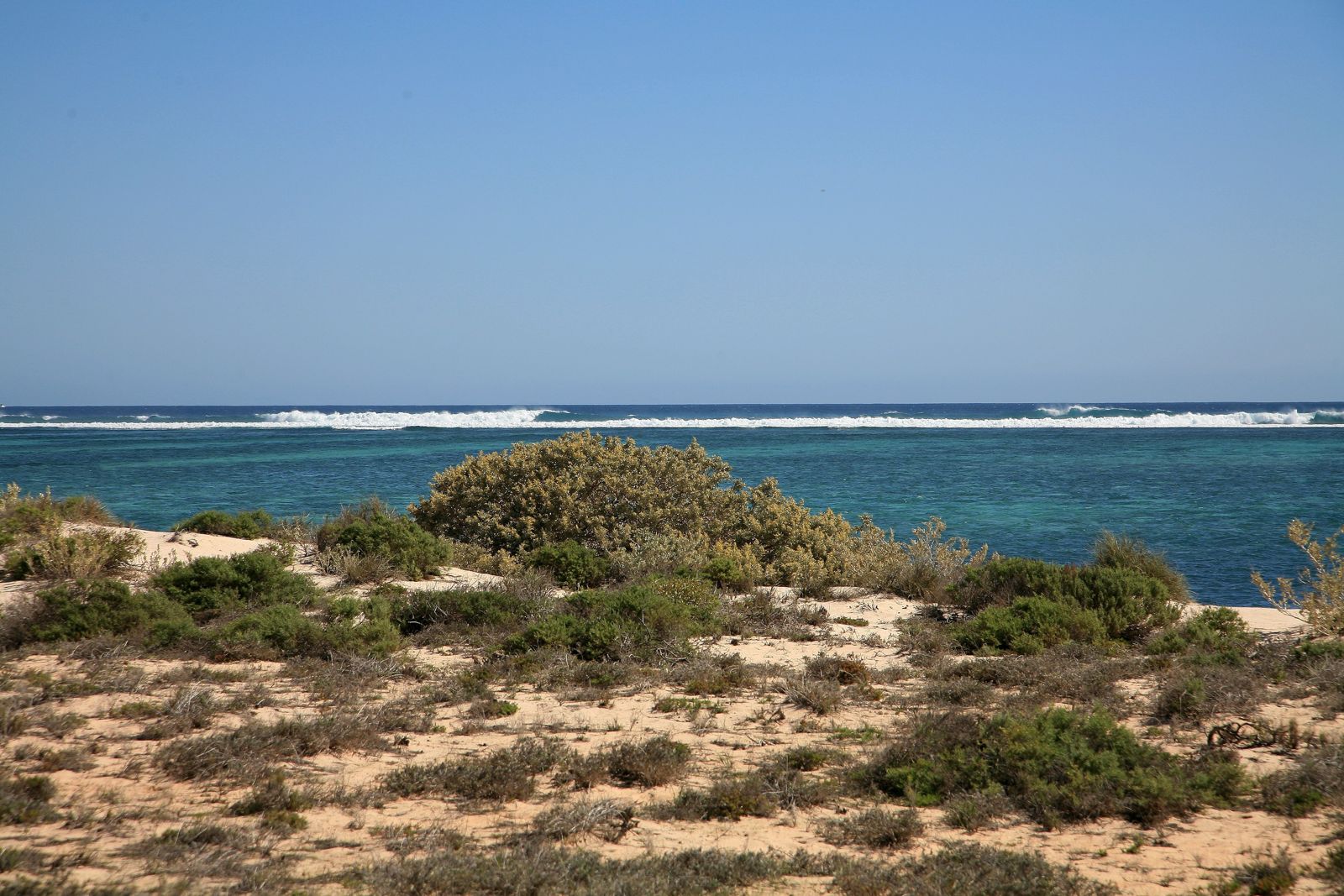 Primary photo of Oyster Bridge (Coral Bay)