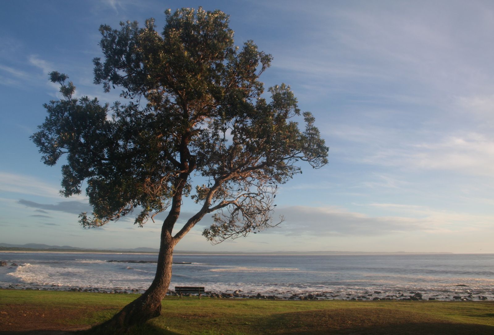 Primary photo of Pebbly Beach, Forster