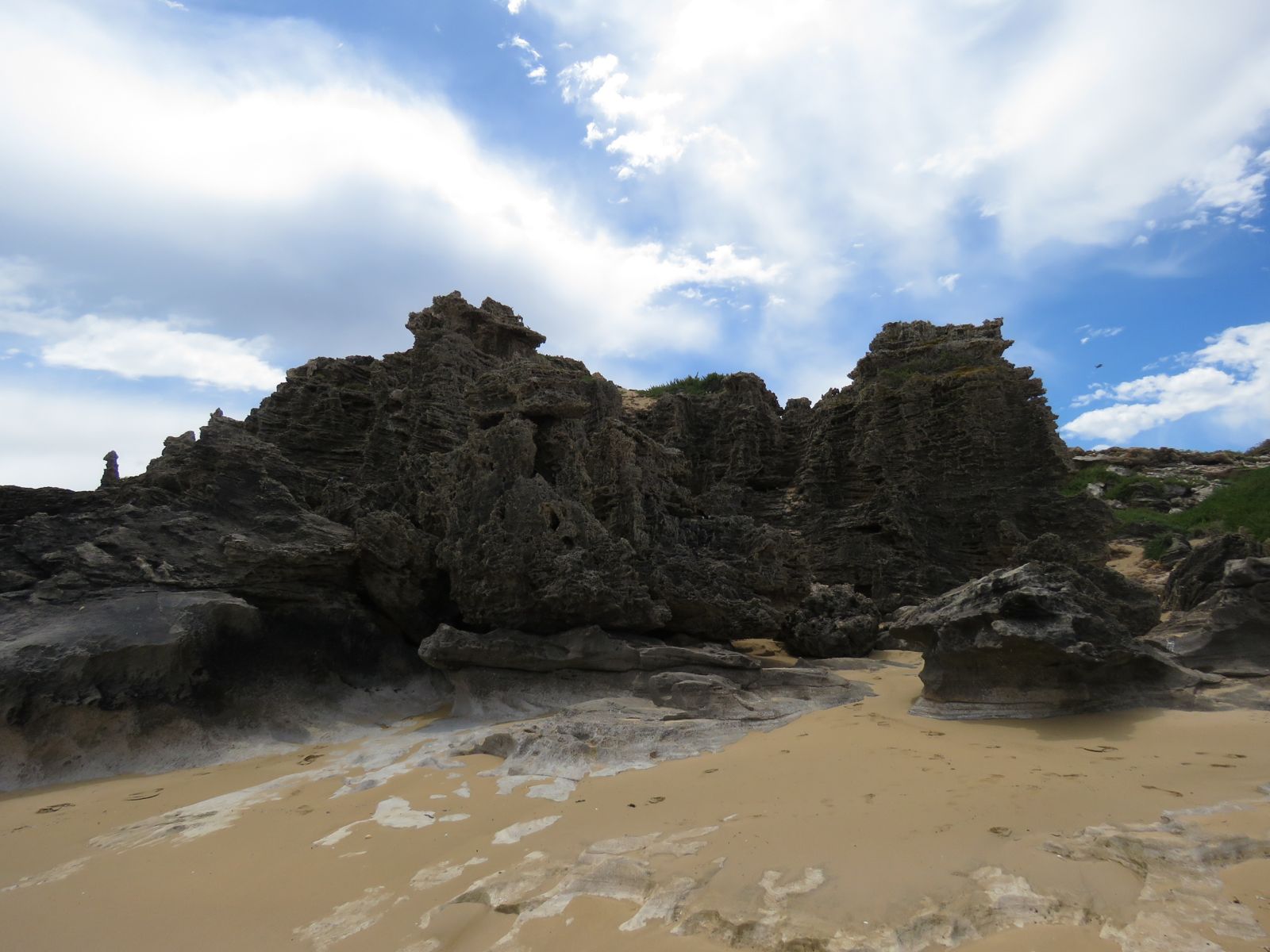Primary photo of Penguin Island (Shoalwater Islands Marine Park)