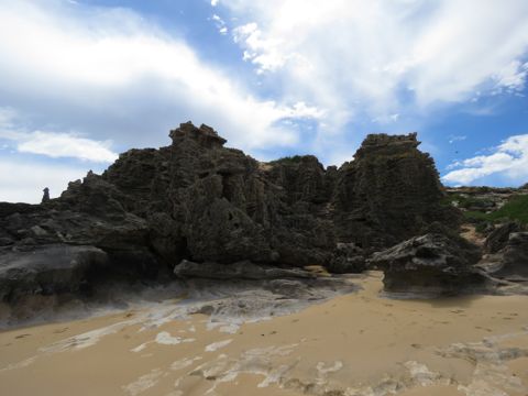 Photo of Penguin Island (Shoalwater Islands Marine Park)