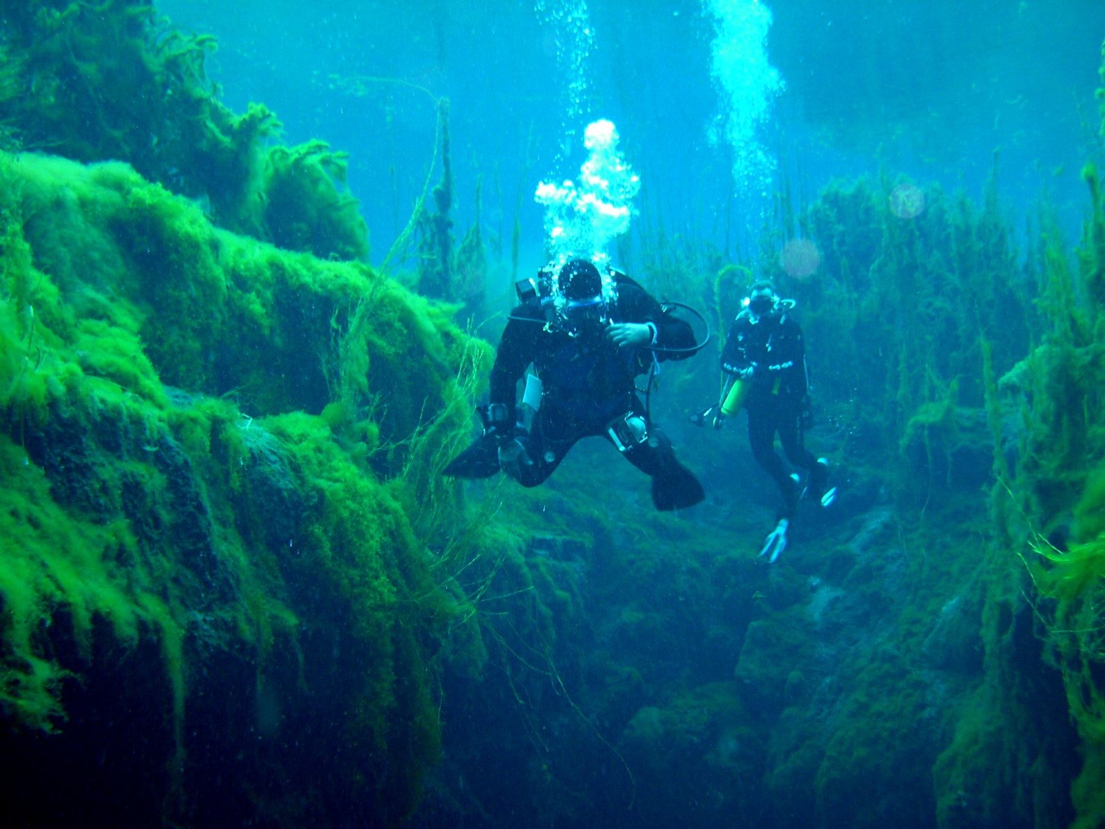 Primary photo of Piccaninnie Ponds Conservation Park