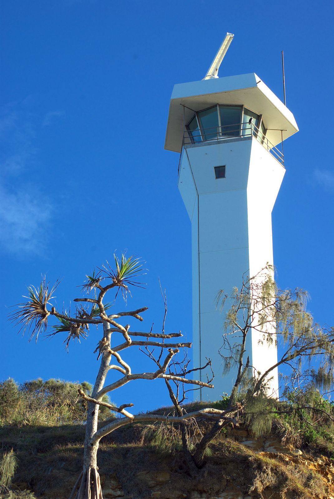 Primary photo of Point Cartwright