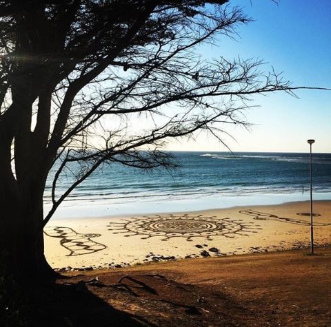 Photo of Point Danger Marine Sanctuary