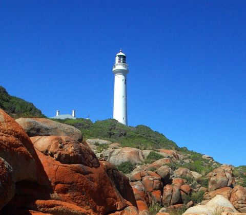 Photo of Point Hicks Marine National Park