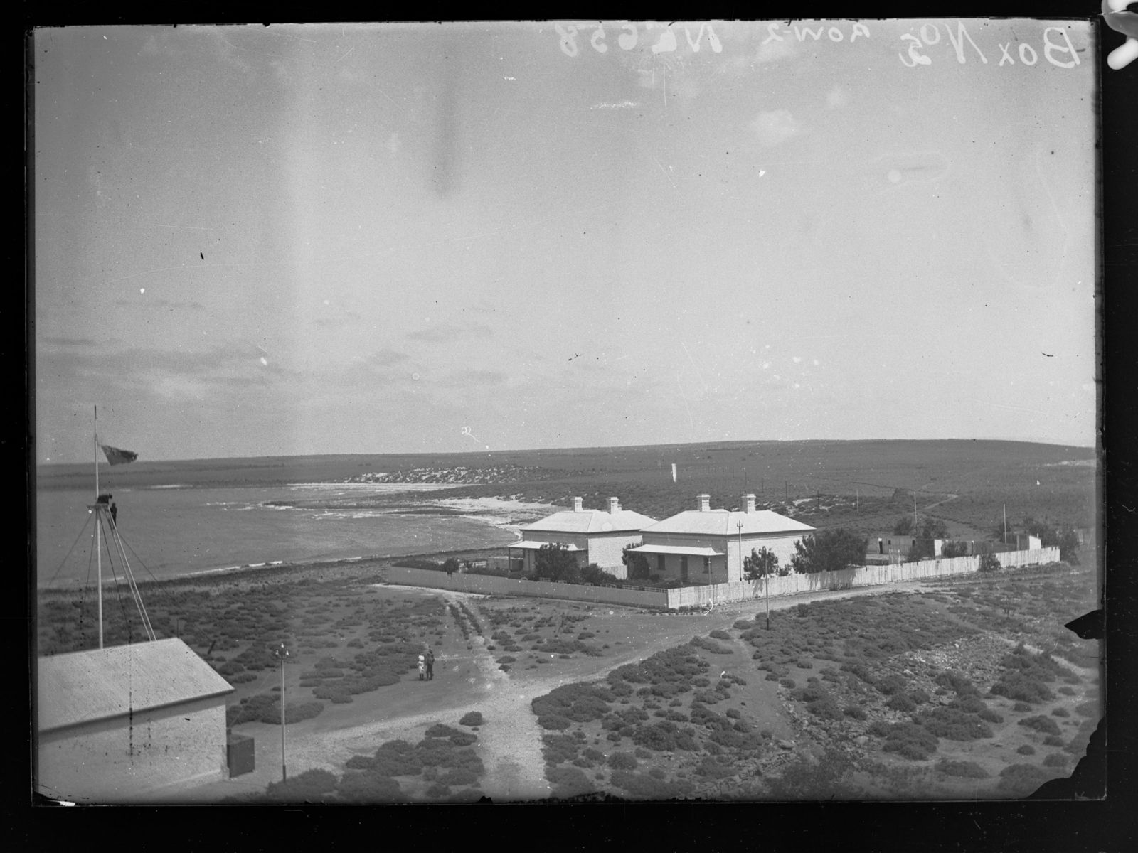 Primary photo of Point Lowly