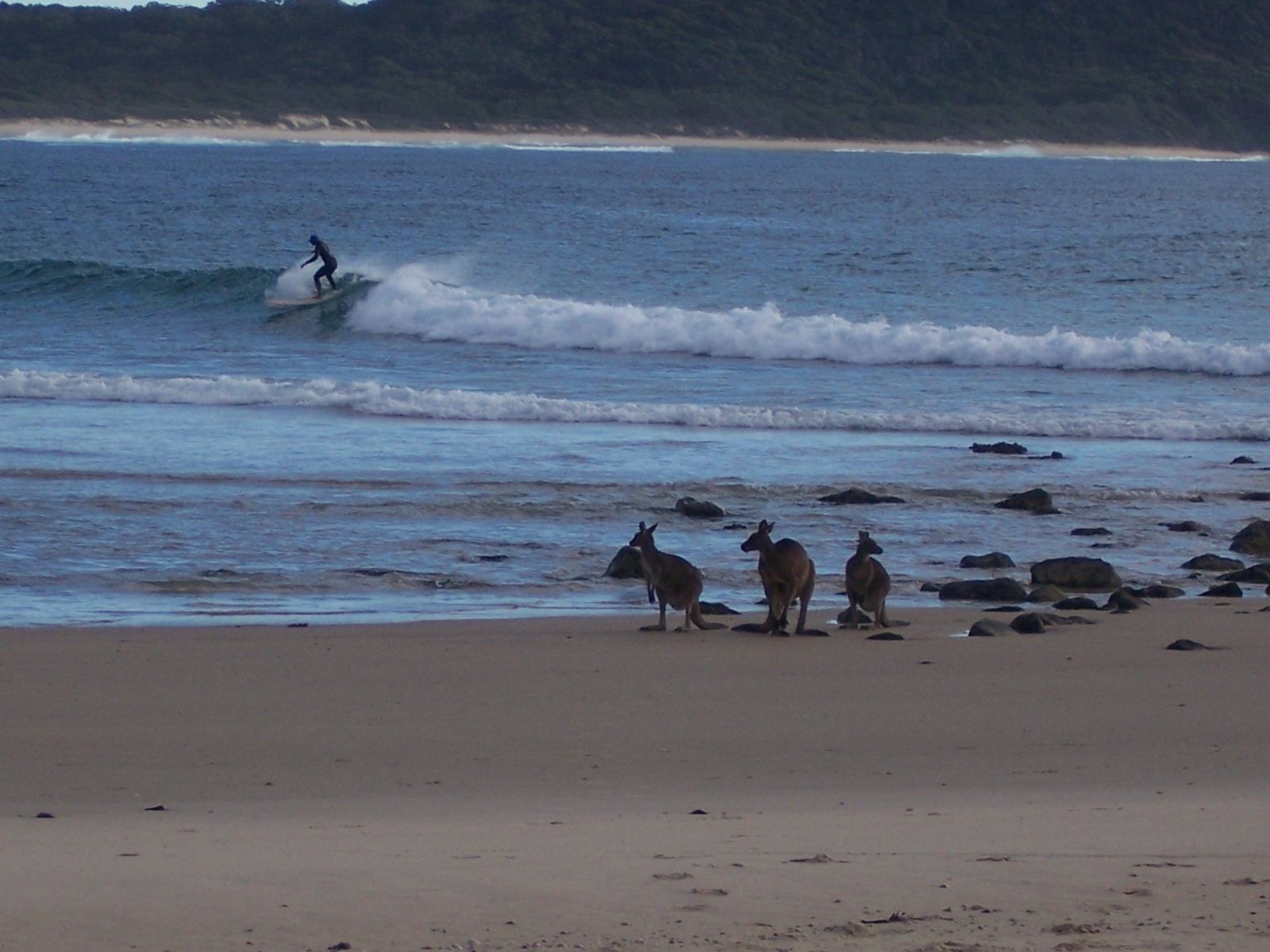 Primary photo of Point Plomer