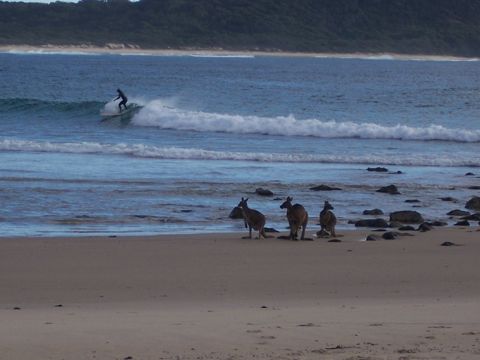 Photo of Point Plomer