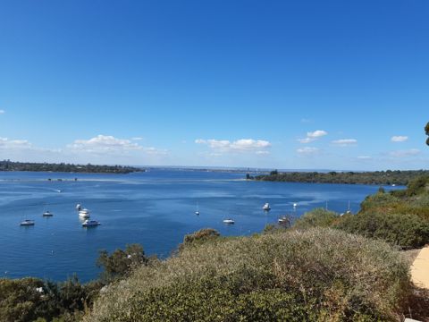 Point Walter snorkelling spot