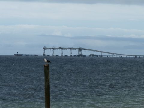 Photo of Port Giles Jetty