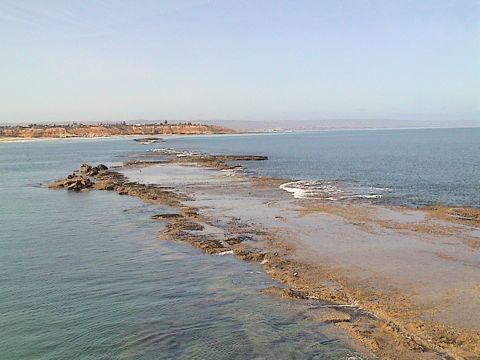 Photo of Port Noarlunga Reef (Noarlunga Reef)